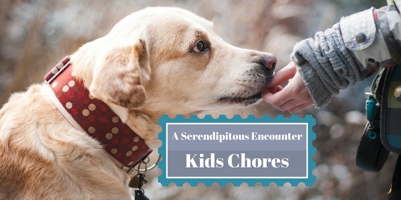 Kids Chores a serendipitous encounter