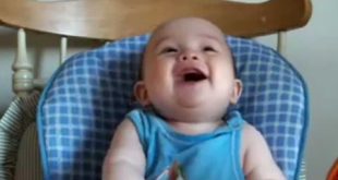Best babies laughing video compilation