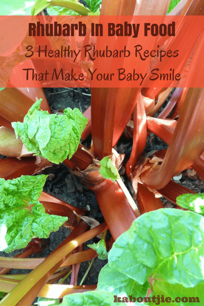 Rhubarb in Baby Food: 3 Healthy Recipes That Make Your Child Smile