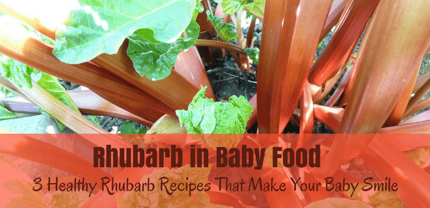 Rhubarb in baby food healthy rhubarb recipes