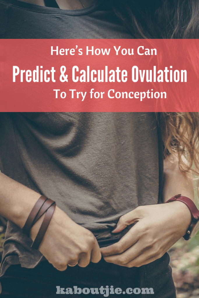 How To Predict and Calculate Ovulation To Try For Conception