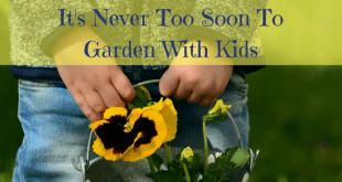 Garden With Kids