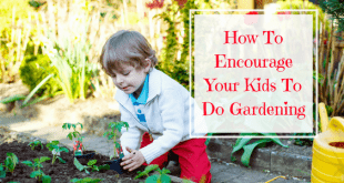 Teach children gardening