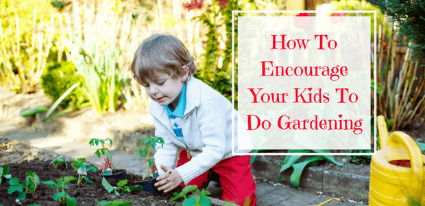 Teach children gardening