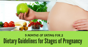 Dietary guidelines for stages of pregnancy