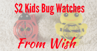 $2 kids bug watches from Wish