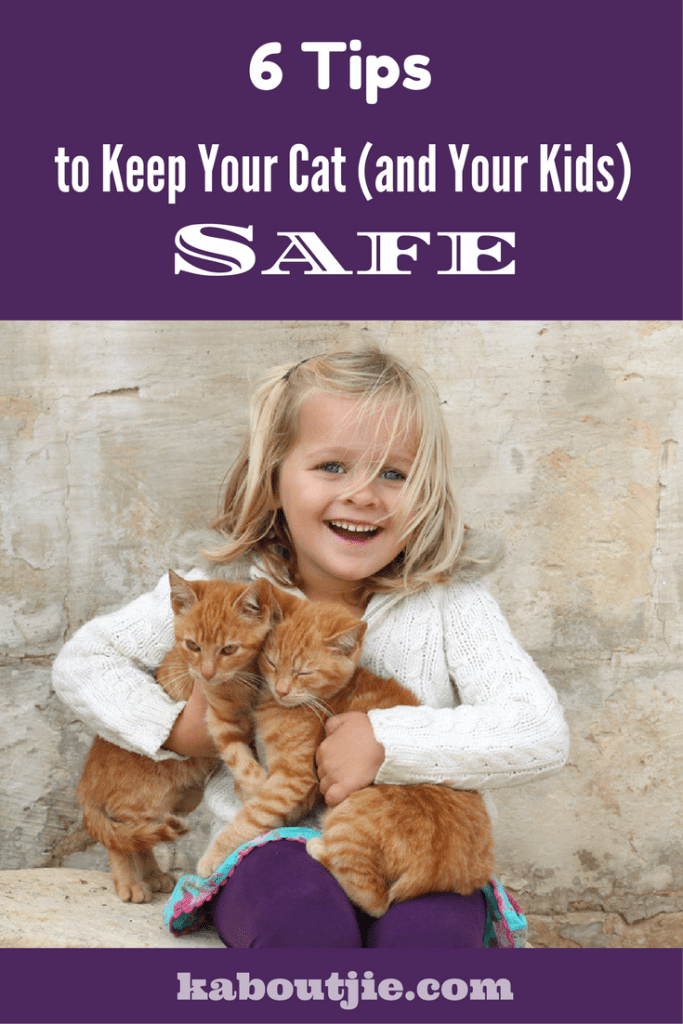 6 Tips to keep your cat and your kids safe