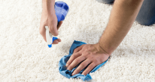 Cleaning carpet