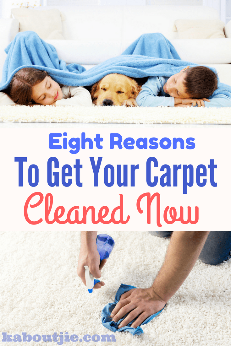 Eight reasons to get your carpet cleaned today