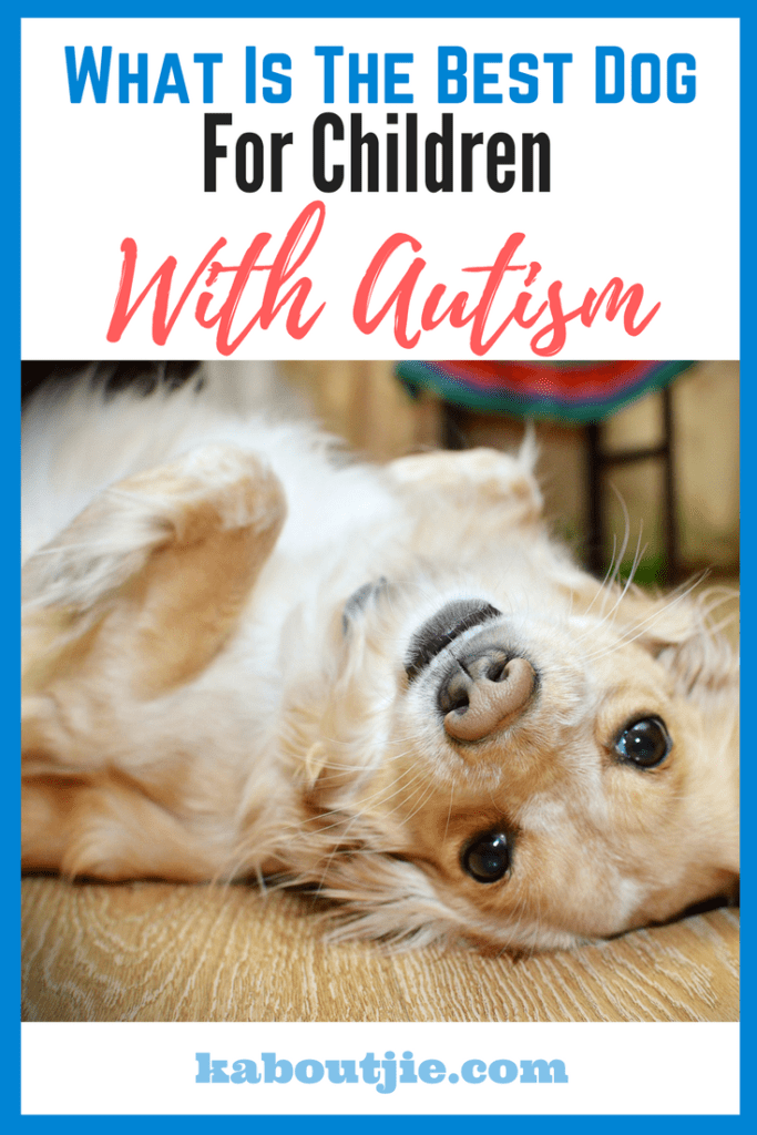 What Is The Best Dog For Children With Autism