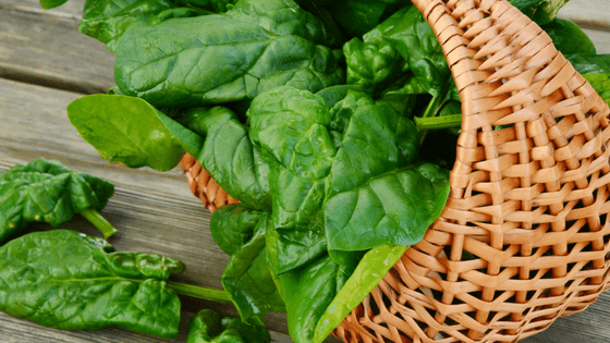 Spinach in basket