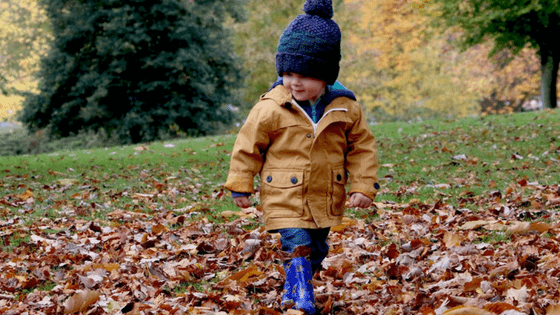 Boy toddler playing in Autumn leaves