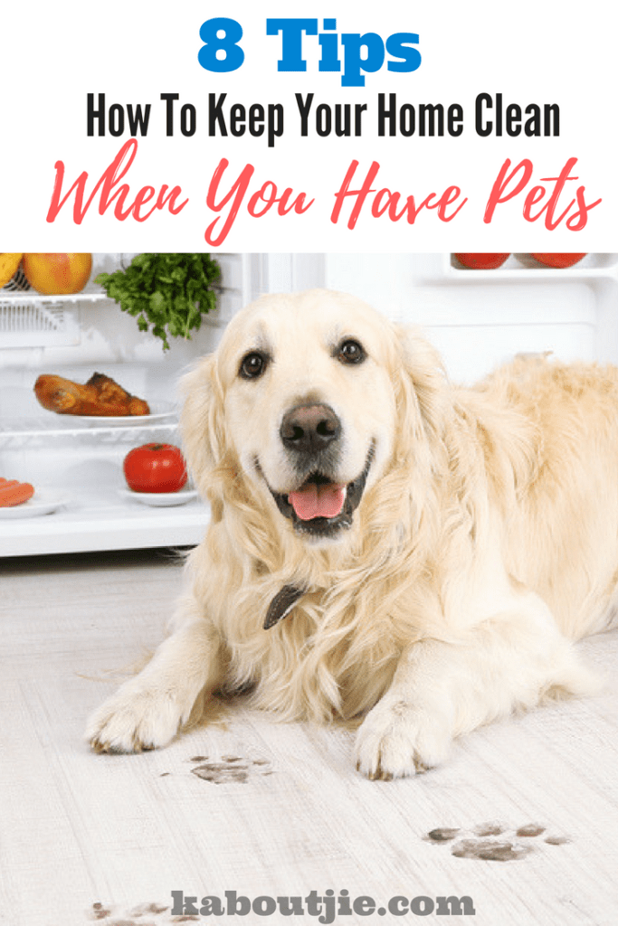 8 Tips - How To Keep Your Home Clean When You Have Pets
