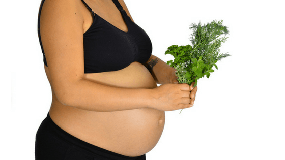 Pregnant Woman holding herbs