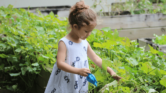 Toddler girl in garden