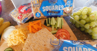 Blue Ribbon Sandwich Squares Lunch