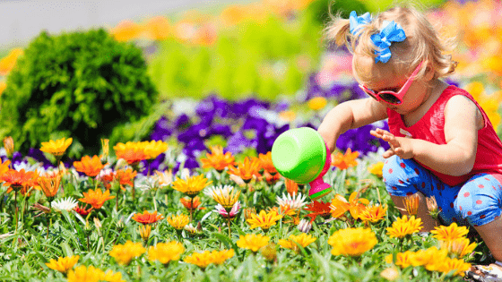 Toddler with pigtails watering flowers