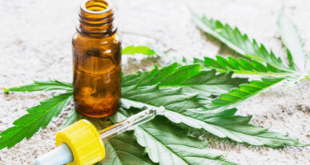 CBD oil bottle and leaf