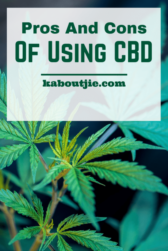 Pros And Cons Of Using CBD