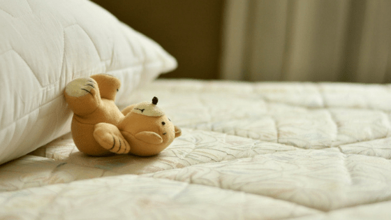 Bear on mattress