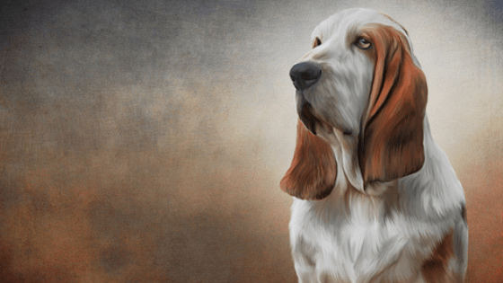 Dog Painting