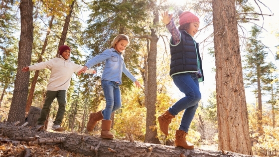 Children playing in forest