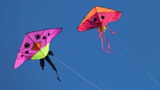 Flying kites