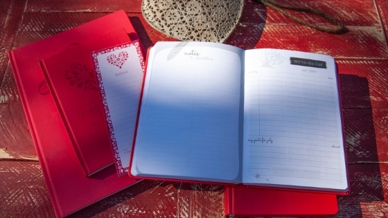 MOM Diary 2019 journals