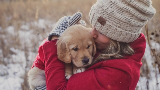 Cuddling puppy