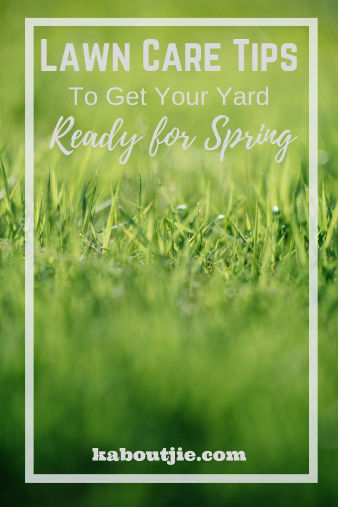 Lawn Care Tips To Get Your Yard Ready For Spring