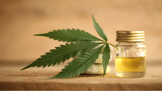cbd oil cannabis leaf