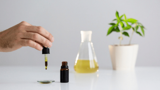 Using CBD Oil