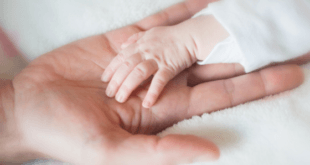 Baby hand in moms hand