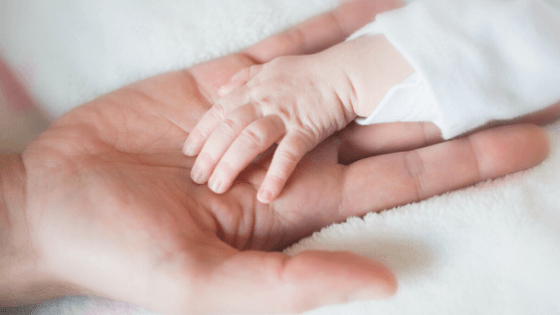 Baby hand in moms hand