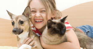 Little girl with cat and dog