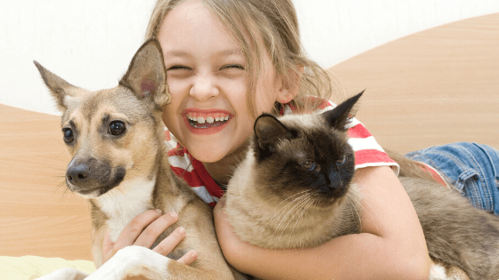 Little girl with cat and dog