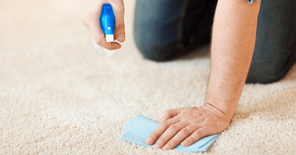 Clean Carpet Vinegar Spray