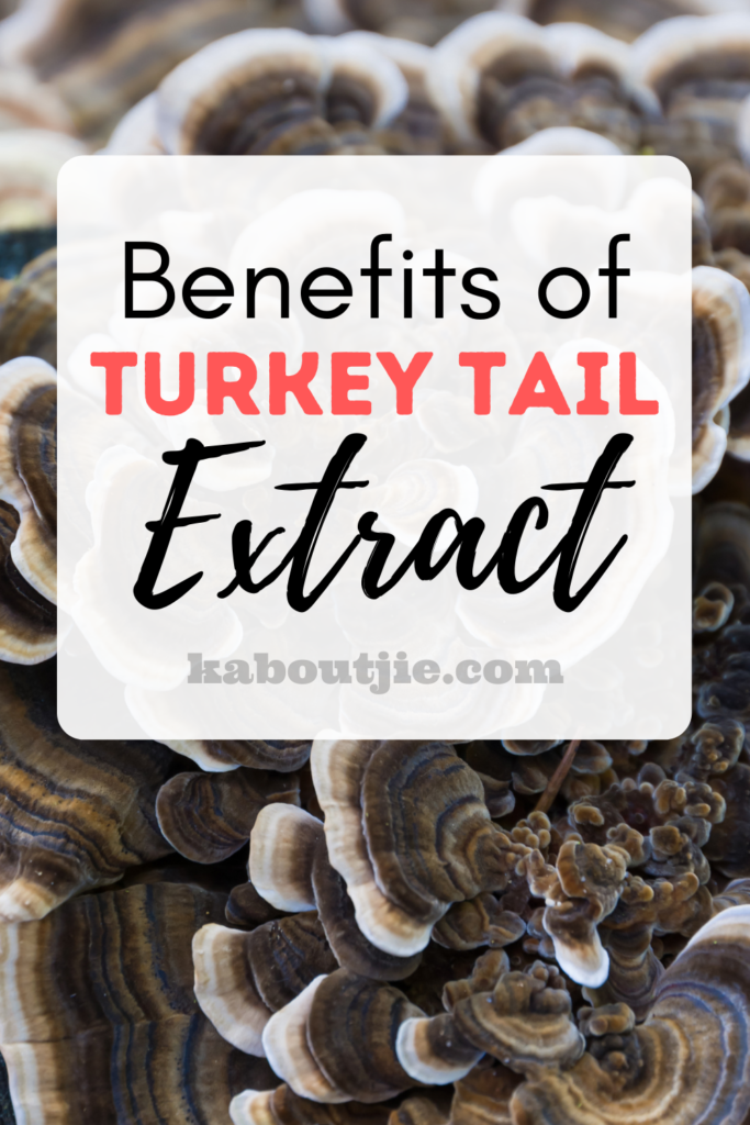 Benefits of Turkey Tail Extract