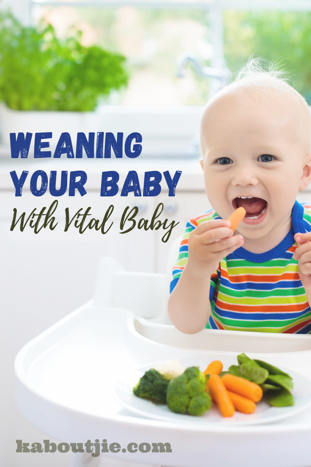 Weaning Your Baby With Vital Baby