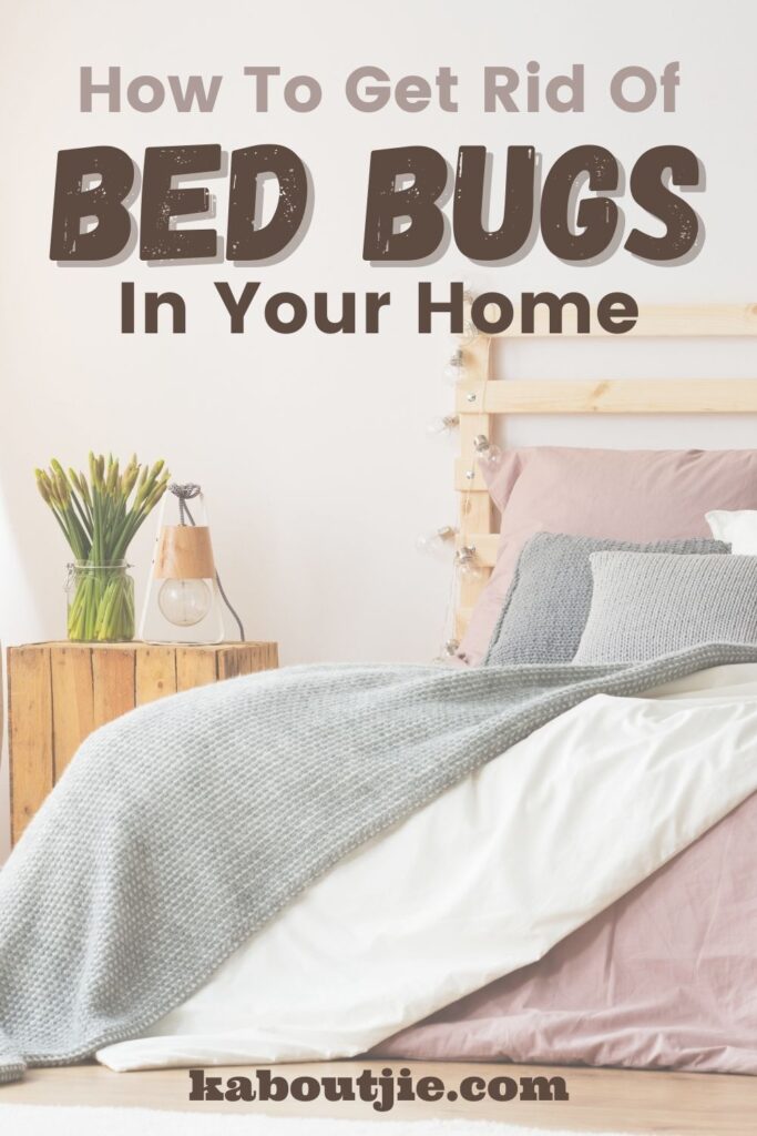 How To Get Rid Of Bed Bugs In Your Home