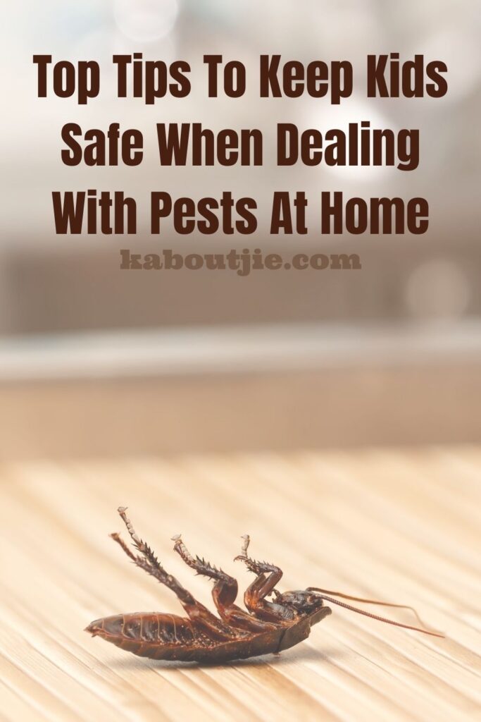 Top Tips To Keep Kids Safe When Dealing With Pests At Home