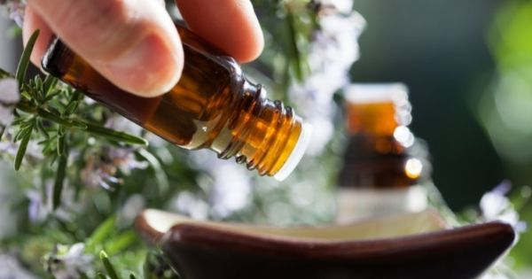 Essential Oil Oils For Bed Bugs