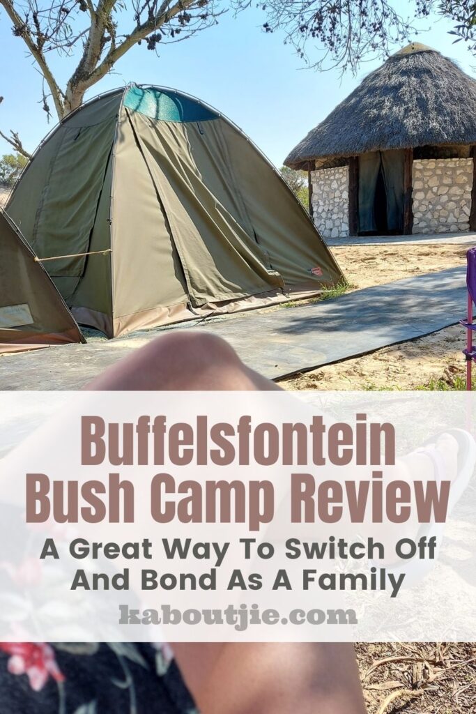Buffelsfontein Bush Camp Review