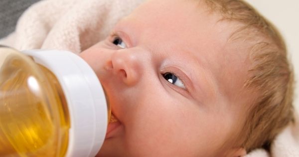 Baby drinking rooibos tea