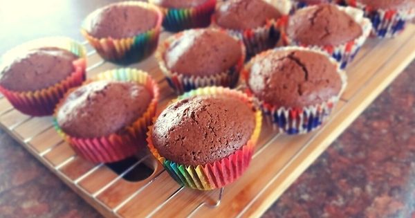 Cocoa Chocolate Muffins