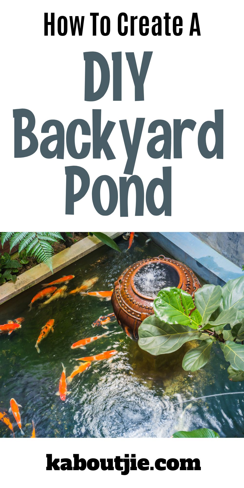 How To Create A DIY Backyard Pond