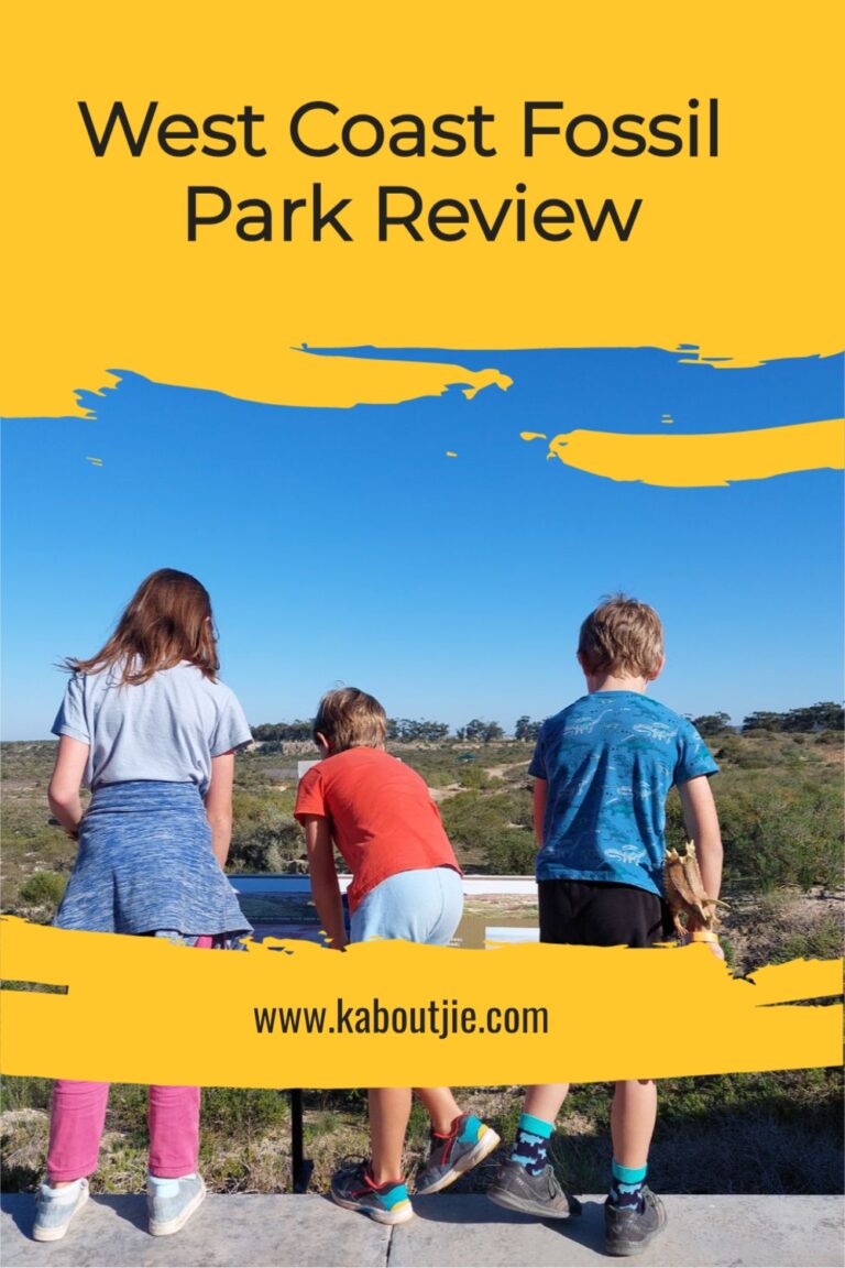 West Coast Fossil Park Review Educational Fun For Kids