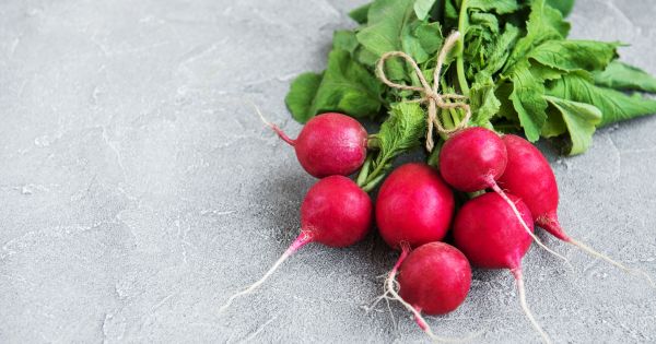 Grow radish