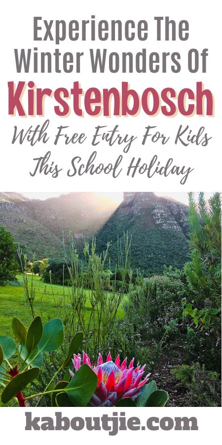 Experience The Winter Wonders At Kirstenbosch With Free Entry For Kids This School Holiday