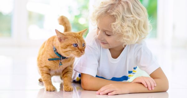 Child and pet cat